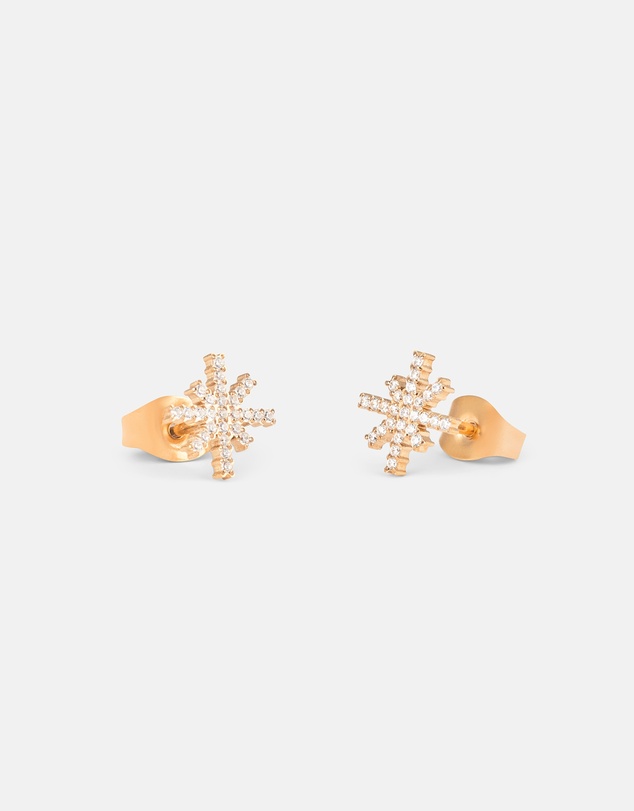 Daniel Wellington - Mirelle Star Earring RG