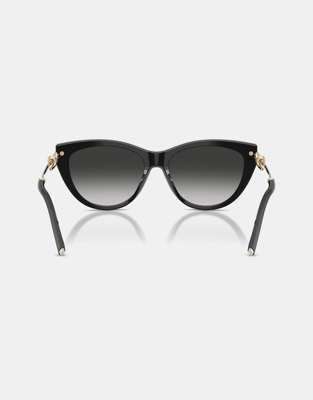 Tiffany & Co. - 0TF4253