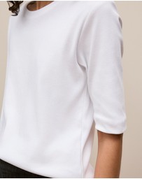 Trenery - Australian Cotton Half Sleeve T-shirt in White