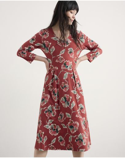 Artist Camellia Red Sail