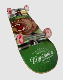 iWorld - Bravo Sports Kryptonics KR31 Star Series Skateboard - Swirled Bear