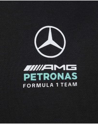 adidas Performance - MERCEDES - AMG PETRONAS FORMULA 1 TEAM DNA FULL ZIP HOODY Kids