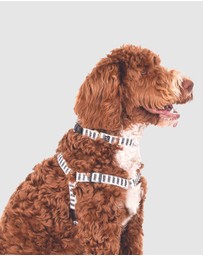 Mog & Bone - Hemp Dog Harness - Black Mosaic Print
