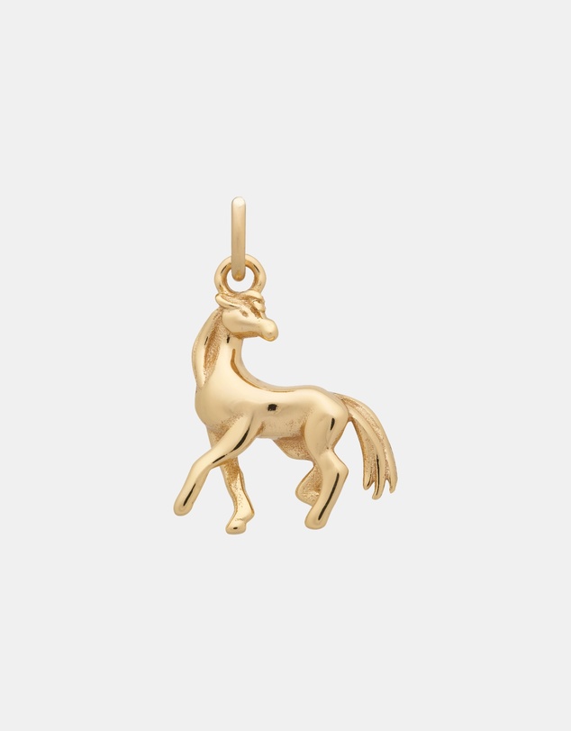 YCL  - Horse Charm