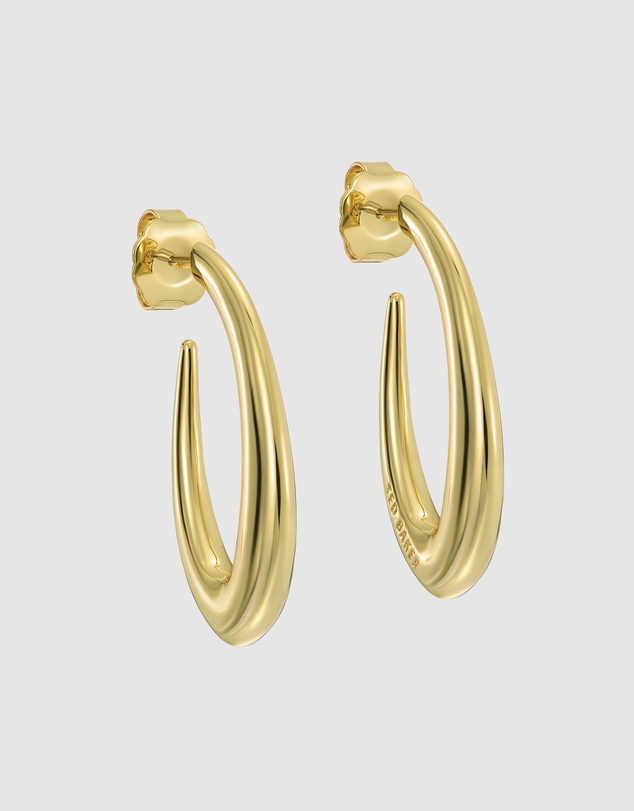 Ted Baker - SYDNEY: Smooth Link Hoop Earrings