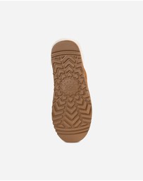 Ozwear Connection Uggs - Ugg Carter Men's Slipper (Water Resistant)