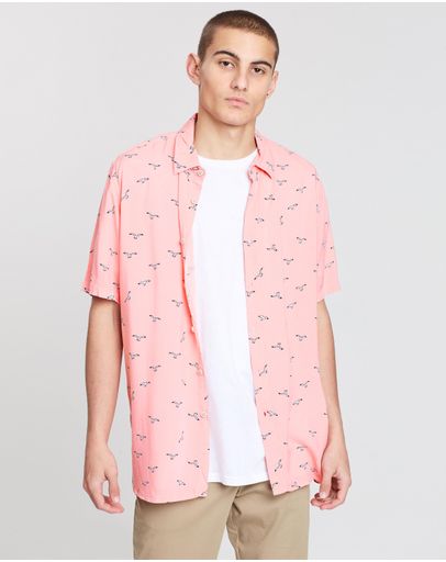 Pink Seagull