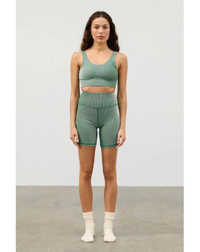 Tallow Green