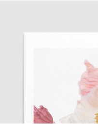 Olive et Oriel - Luxe Poppy I Art Print