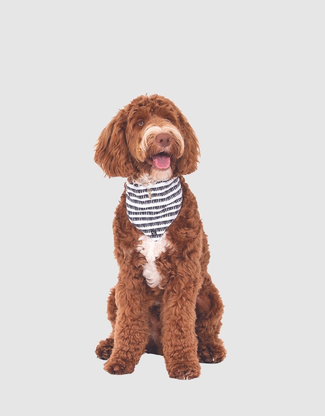 Mog & Bone - Dog Bandana - Black Mosaic Print