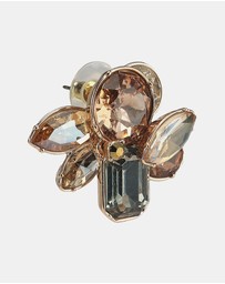 ALDO - Brocla Earrings