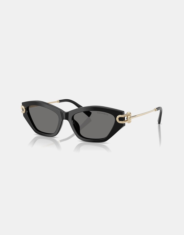 Tiffany & Co. - TF4231U