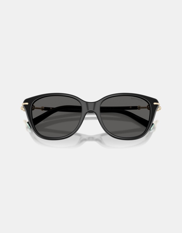 Tiffany & Co. - 0TF4267