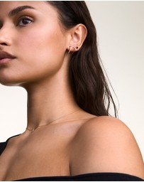 Daniel Wellington - Micro Earring Crystal Hoop Earring
