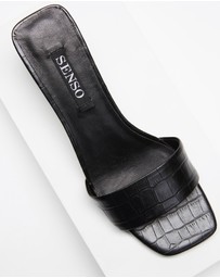 Senso - Maisy I