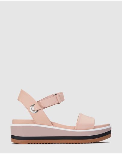 Blush