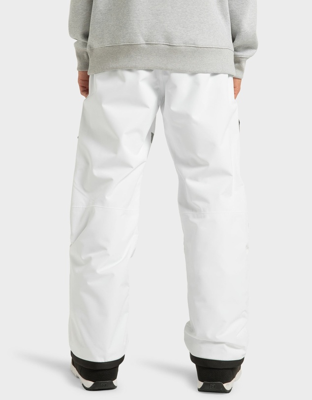 DC Shoes - Mens Squadron 30K Snow Pants