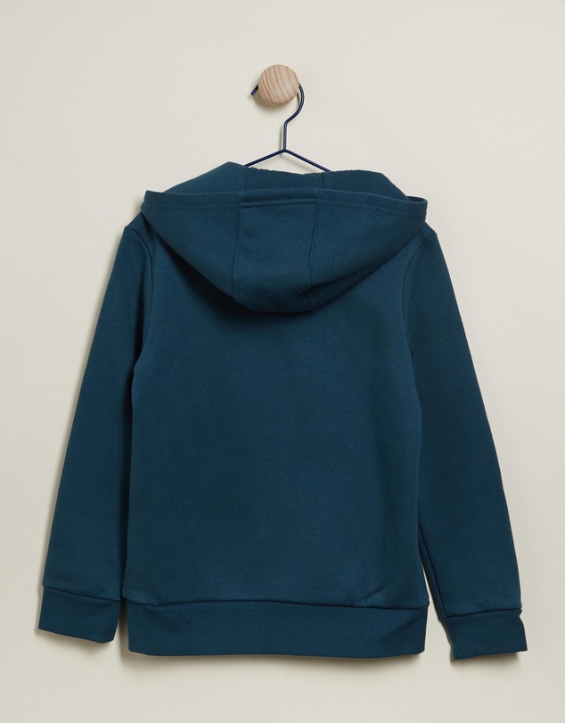 adidas Originals - Adicolor Hoodie - Teens