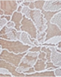 Skarlett Blue - Entice Wired Sheer Lace Balconette Bra