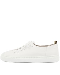 Mollini - Orphic