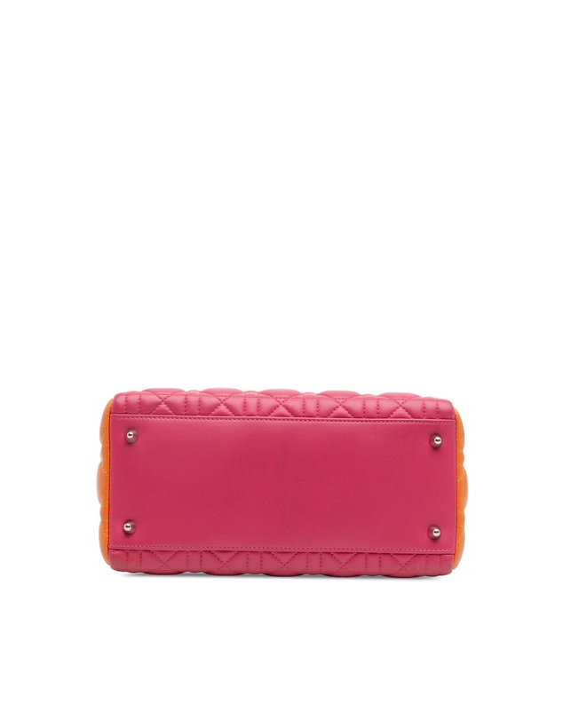 Pre-Loved by Azura Reborn - Pre-Loved Medium Tricolor Lambskin Cannage Lady Dior
