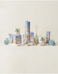 Palm Beach Collection - Amber Skies 420g Scented Candle