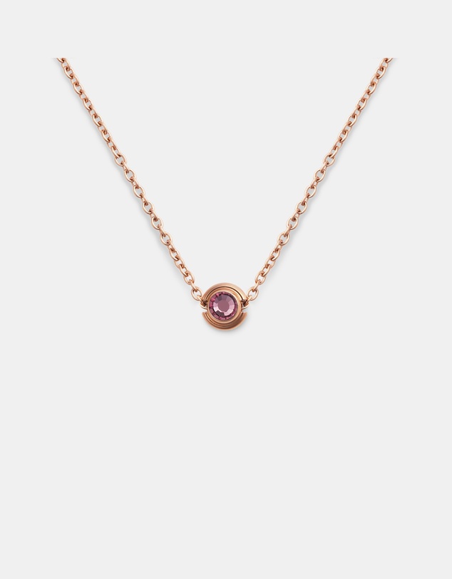 Daniel Wellington - February Charm