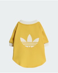adidas Originals - adidas Pet Cali Tee