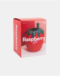 DOIY - Farmers Market Vase Raspberry
