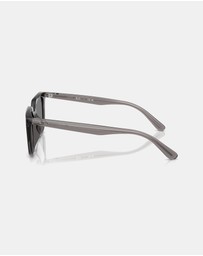 Ray-Ban - RB4439D