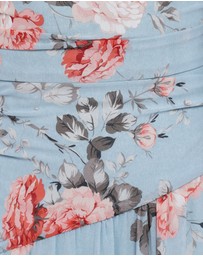 Petal & Pup - Levine Maxi Dress - Blue Floral
