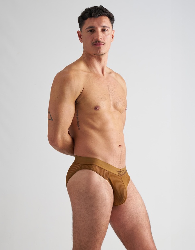 TEAMM8 - Casanova Brief