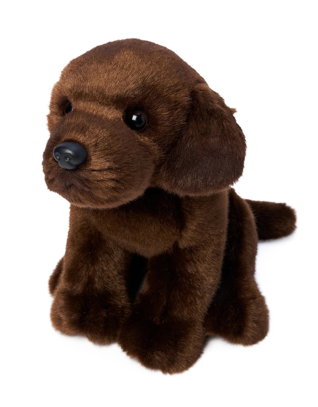 Animal Allsorts - Milo Labrador