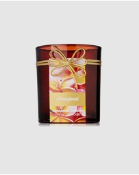 Silk Oil of Morocco - Frangipani Natural Soy Candle