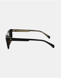 AM Eyewear - Steeb