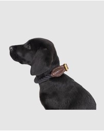 Mog & Bone - Rope & Leather Dog Collar- Black