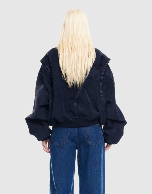 Lioness - Vista Bomber