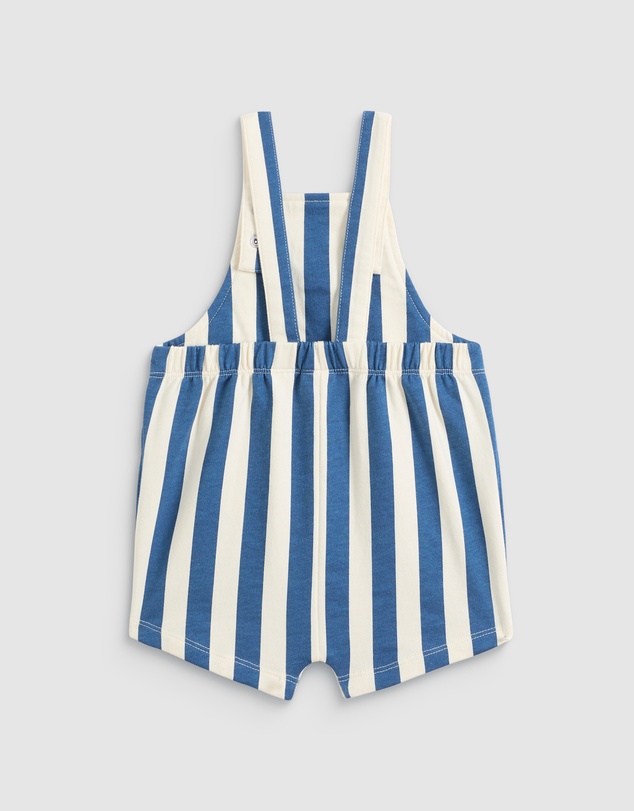 Seed Heritage - Core Logo Stripe Overall