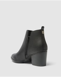 SPURR - Duke - ONLINE EXCLUSIVE