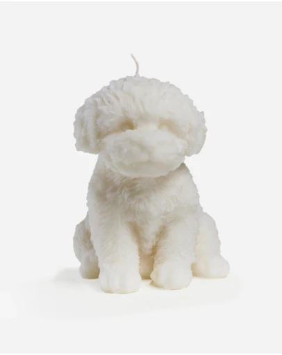 Love Ally - Cavoodle Candle