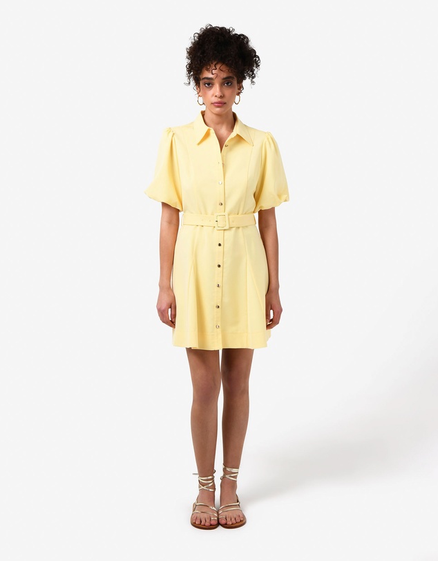 Forcast - Amera Utility Mini Belt Dress