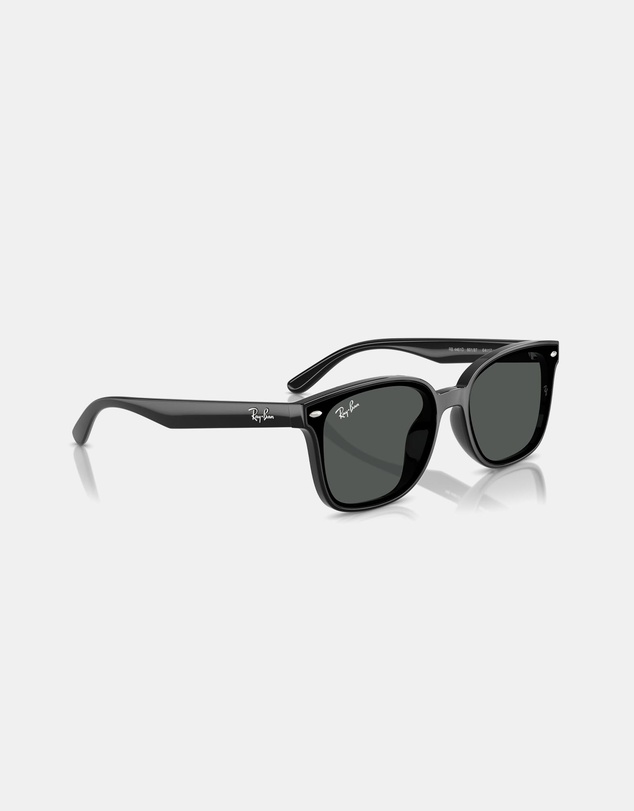 Ray-Ban - RB4461D