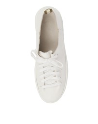 Mollini - Orphic