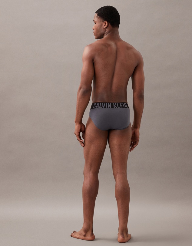 Calvin Klein - Intense Power Cotton 3 Pack Briefs