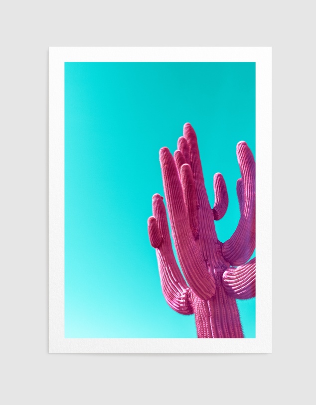 Olive et Oriel - Magenta Pink Saguaro by Tom Windeknecht Art Print