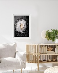 Olive et Oriel - Oysters on Ice Art Print