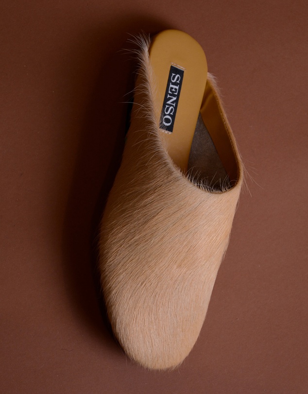 Senso - Caelan