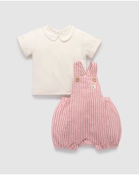 Purebaby - Christmas Striped Overall Set -Kids-Babies