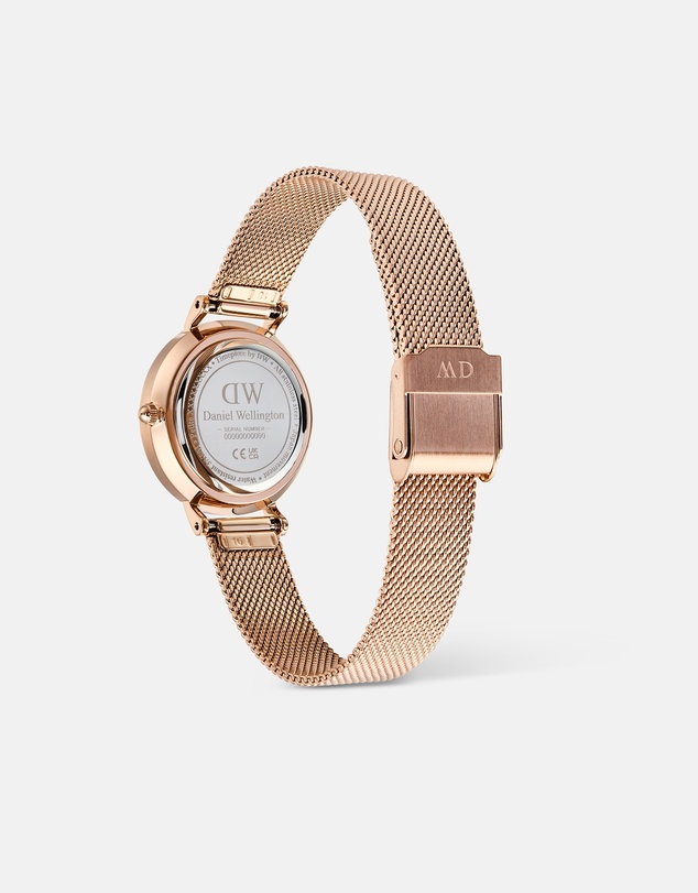 Daniel Wellington - Petite 28mm Roman Numerals Date Melrose RG