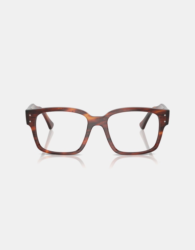Ray-Ban Optical - Evolution